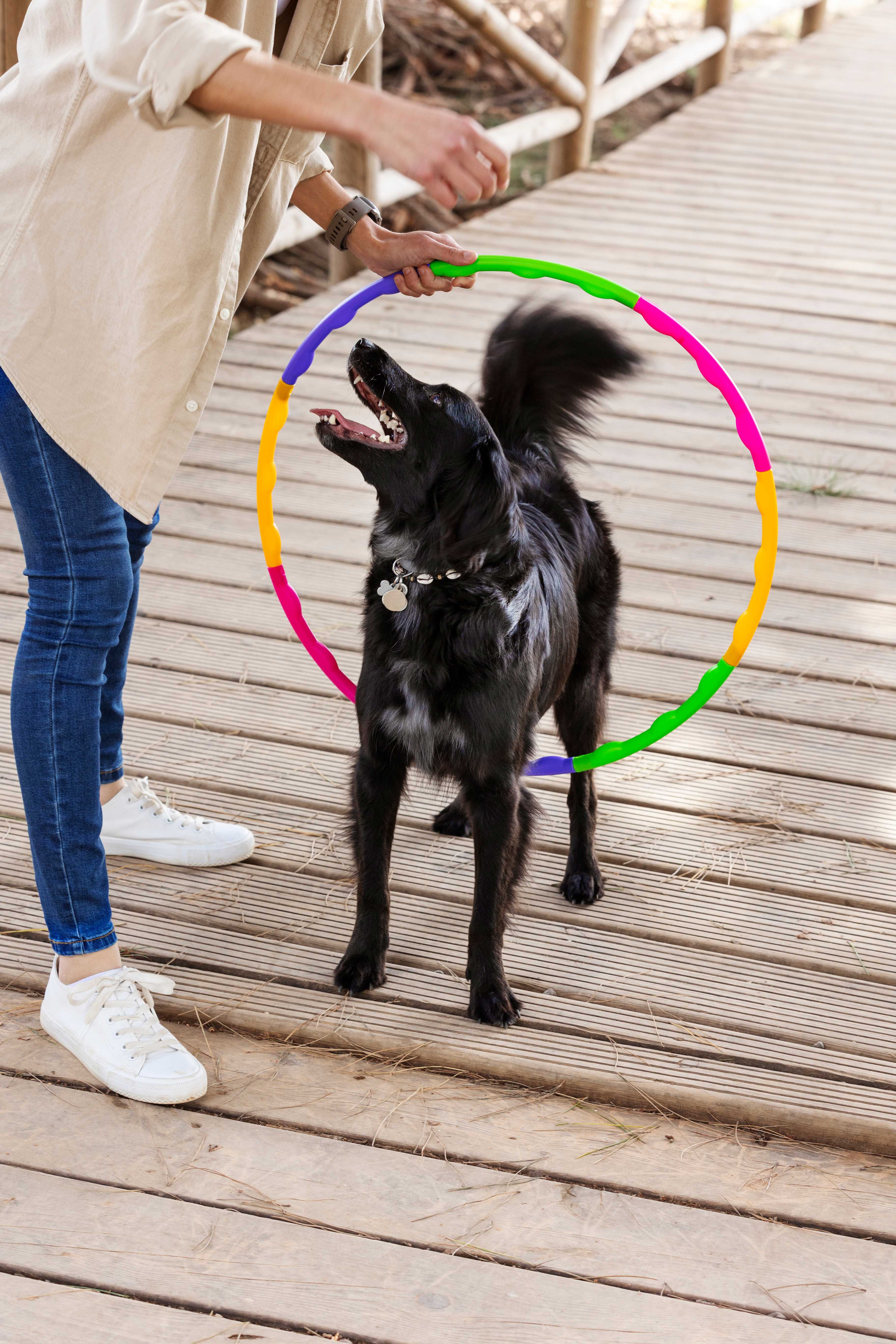 Hotel e Crechet Pet Landing Image